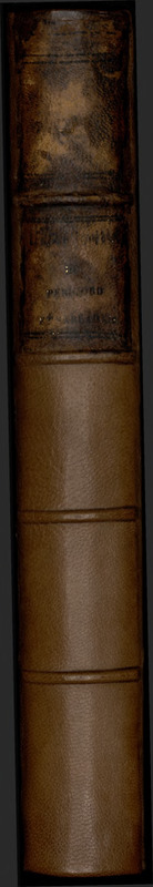 Antiquités du Périgord et Sarladais