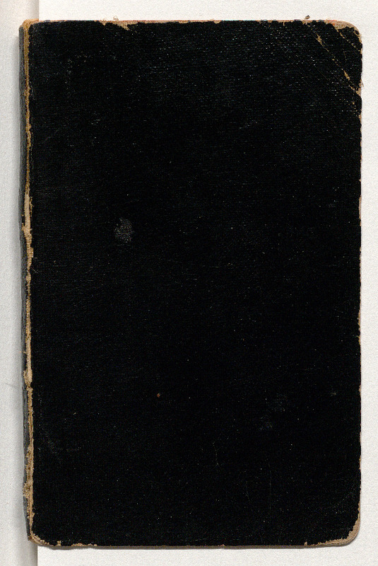 Brouillon de conférences : Les funérailles du naturalisme