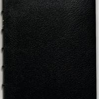 FRB243226101_Ms_Bloy03.pdf