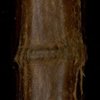 B243226101_ms_0171.pdf