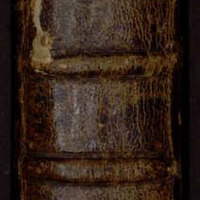 B243226101_MS016.PDF