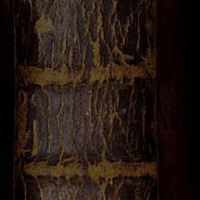 B243226101_MS127_002.PDF